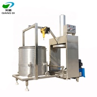 Kleine Hydraulische Enkele Vat Oranje Fruitgroente Koude Pers Juicer Extractor