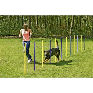 cane agilità slalom poliestere formazione apparecchiature poli tessuto