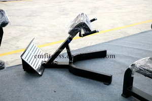 Chaise <span class=keywords><strong>romaine</strong></span> d'extension dorsale de haute qualité pour équipement de gym - Product Image 3