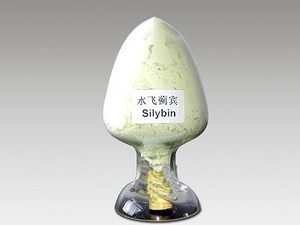 Estratto di sphaeranthus indicus di erbe indiane (cardo mariano indiano orientale) in polvere per prodotti per la salute - Product Image 5