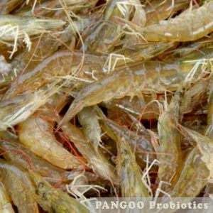 Mangeoire à base de crevette pour la culture de crevette, plantes naturelles, pour fabriquer la carpe harden, penaus vannwei, mantis de crevettes (multiplexes) - Product Image 4