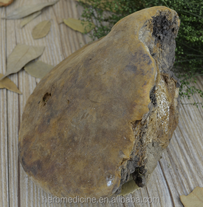 Hongo Phellinus Linteus Teng Seco Silvestre Entero, Origen Bozhou, China, Paquete <span class=keywords><strong>de</strong></span> 1KG - Product Image 5