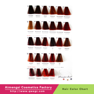 Meilleures ventes : Nuancier professionnel pour coloration capillaire, couleurs tendance populaires, OEM/ODM, échantillon de teinture pour cheveux - Product Image 6