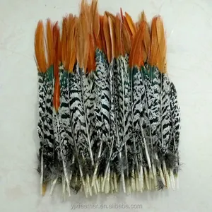 Pheasant Feathers Natural Lady Amherst Pheasant Red Orange Tip