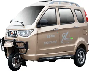 中国 200cc 豪华真空卡车洛阳封闭式客舱 3 轮 CarTuc Tuc 滑板车乘客三轮车汽油类型