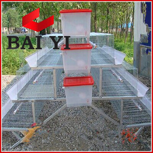 Gà nhỏ đổ/gia cầm trang trại/nhà gà chìa khóa trao tay trang trại gà gia cầm dự án - Product Image 4