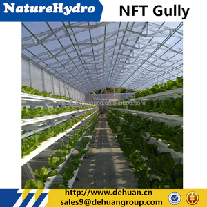 Thủy canh rau diếp phát triển guter NFT máng xối - Product Image 3