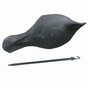 High <span class=keywords><strong>Definition</strong></span> Decoying Schieten Hd Geschilderd Duif Decoy Schelpen