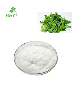 Andrographis-extracto <span class=keywords><strong>Natural</strong></span> de hoja de <span class=keywords><strong>Paniculata</strong></span>, polvo 98% Andrographis a Tailandia - Product Image 1