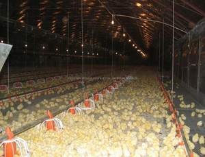 Construcción <span class=keywords><strong>de</strong></span> la estructura <span class=keywords><strong>de</strong></span> acero ligero para la granja <span class=keywords><strong>de</strong></span> pollo gallinero con equipos - Product Image 2