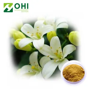 Cina Produttore 10 1 Murraya Paniculata Polvere Murraya Paniculata Estratto