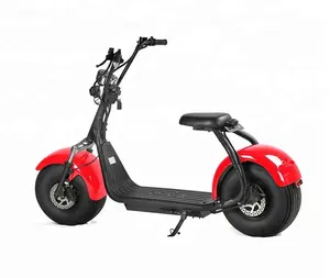 Avrupa EEC Şehir Binici Elektrikli Kıyıcı Scooter Citycoco 60 V 20AH Lityum Pil 1500 W Motor