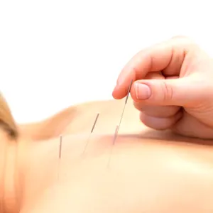 Jaminan Kualitas Kaki Titik Akupunktur Model Kaki Top