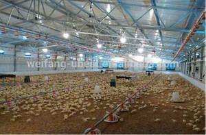 Alta calidad de aves de <span class=keywords><strong>corral</strong></span> automática <span class=keywords><strong>pan</strong></span> sistema de alimentación - Product Image 1