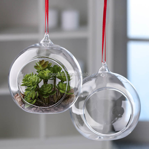 Großhandel Klar Klasse Ball Ornamente, Hängenden Glasterrarium Mit Günstigen Preis - Product Image 4