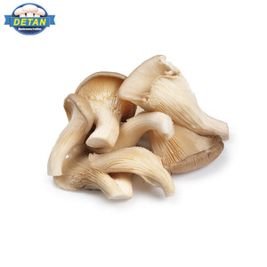 Detan Frozen <span class=keywords><strong>Pleurotus</strong></span> <span class=keywords><strong>Ostreatus</strong></span>/Noms de Champignons Comestibles - Product Image 1