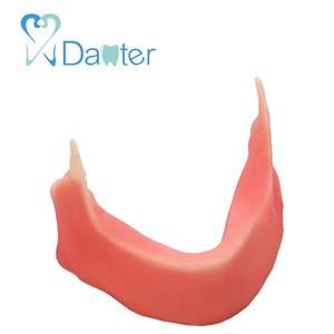All'ingrosso resina dentaria modello mandibolare mascella con Silicone per la pratica del dentista - Product Image 3