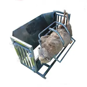 Safety Galvanized Sheep\Goat Yard Equipment Treatment Crush Catcher