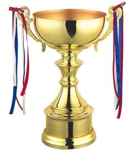 Thiết Kế Cúp Kim Loại Cup Giải Thưởng Champion Trophies Chất Lượng Cao Bạc Lưu Niệm Thể Thao Cup Thể Thao Huy Chương Mạ Nghệ Thuật Dân Gian 50Pcs - Product Image 6