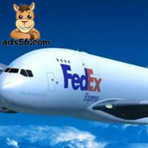 Fedex/DHL/UPS Courier Express Shipping to Algeria/Angola/Albania