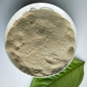 Высококачественный порошок алюмината кальция для химической обработки воды PAC - Product Image 2