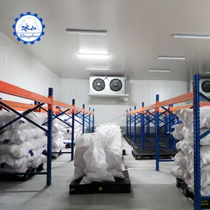 Cold storage in ammonia room installation logistics commercial potato warehouses