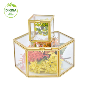 <span class=keywords><strong>Boîte</strong></span> de luxe en <span class=keywords><strong>laiton</strong></span> pour photo, forme ronde, cœur hexagonal, Rectangle, cylindre en <span class=keywords><strong>verre</strong></span>, fleur, cadeau, USB, <span class=keywords><strong>bijoux</strong></span>, chapeau, vente en gros, pièces - Product Image 3