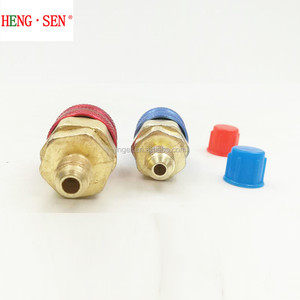 R134A Einstellbare Schnellwechsler - Product Image 4