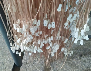 Antenne dipolaire FM en forme de T, antenne intérieure en cuivre, radio HD, connecteur femelle PAL, 75 OFM, pour utilisation avec <span class=keywords><strong>YAMAHA</strong></span>, connecteur femelle de type F - Product Image 6