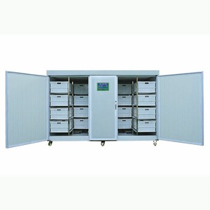 Máquina hidropónica <span class=keywords><strong>para</strong></span> cultivo de <span class=keywords><strong>brotes</strong></span> de frijol Mung, 250kg de salida diaria - Product Image 3