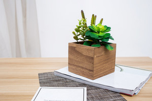Nuevo diseño barato al por mayor de increíble artificial plantas <span class=keywords><strong>suculentas</strong></span> escritorio decoración del hogar para venta - Product Image 4