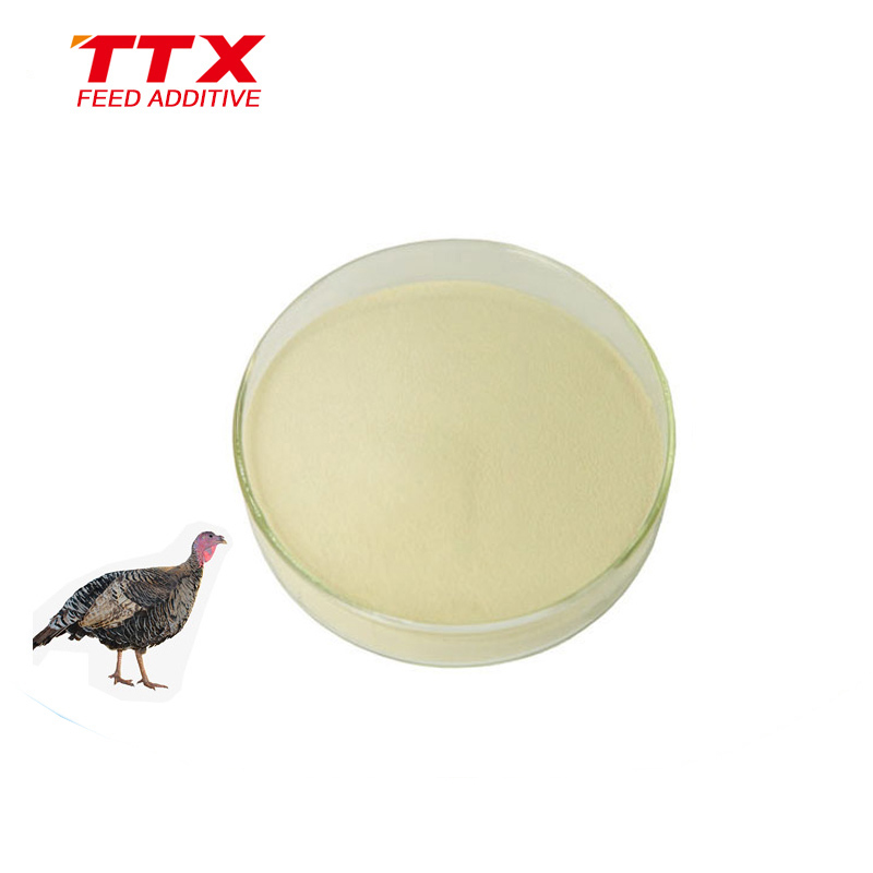 Продажа Phytase 2500 & 5000 PPU/G