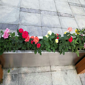 <strong>square</strong> <strong>Planters</strong> <strong>Large</strong> Outdoor Brushed Stainless Steel - Product Image 3