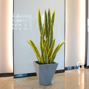 <span class=keywords><strong>Planta</strong></span> ornamental artificial para decoración de interiores, <span class=keywords><strong>planta</strong></span> de <span class=keywords><strong>serpiente</strong></span> bonsái, sansevieria Agave - Product Image 3