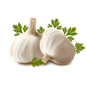 <span class=keywords><strong>semilla</strong></span> <span class=keywords><strong>de</strong></span> <span class=keywords><strong>ajo</strong></span> <span class=keywords><strong>chino</strong></span> - Product Image 2