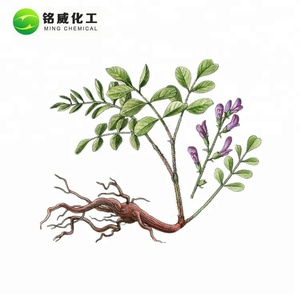 天然植物甘草根エキスグラブリジン40% 90% 98% 粉末 - Product Image 3