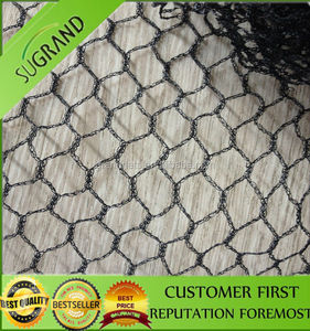 <span class=keywords><strong>De</strong></span> POLIETILENO <span class=keywords><strong>de</strong></span> alta densidad <span class=keywords><strong>de</strong></span> poliéster red del pájaro, piscina <span class=keywords><strong>de</strong></span> natación <span class=keywords><strong>de</strong></span> pantalla - Product Image 1