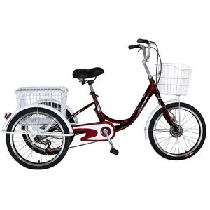 <span class=keywords><strong>Tricycle</strong></span> 9 pouces à vitesse unique pour adultes, afrique du sud, voyage <span class=keywords><strong>adulte</strong></span> avec cabine/<span class=keywords><strong>tricycle</strong></span> pour adultes - Product Image 3