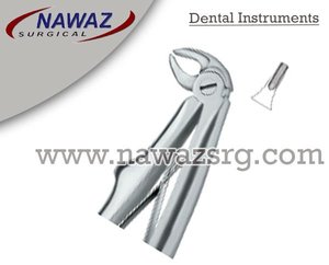 Forceps d'extraction dentaire Fig.137, manuel, haute qualité, logo personnalisé, instruments dentaires en acier inoxydable, certifié CE, Nawaz Surgical - Product Image 2
