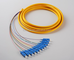 <span class=keywords><strong>N</strong></span> [ Tuolima ] Fan - out queue de cochon SC UPC SM 12 core - Product Image 1