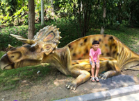 Parc De Fiber De Verre d'équipement de divertissement Dinosaure banc