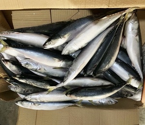 المجمدة جولة كاملة عالية الجودة ماكريل المحيط الهادي المأكولات البحرية 100-150g - Product Image 2