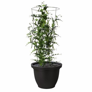 Cage à tomates ronde en fil d'acier galvanisé de 54 pouces - Product Image 6
