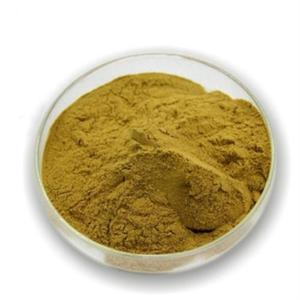 Alal <span class=keywords><strong>Ulva</strong></span> actuca/Reen eaweed Powder - Product Image 1