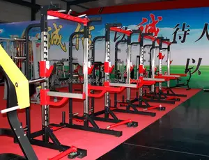 Équipement de conditionnement physique de gymnastique de Force de Marteau HD Élite demi-rack