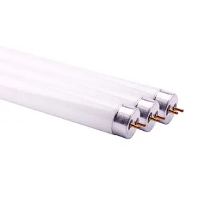 cfl principio e forma diritta t4 lampada fluorescente 8w