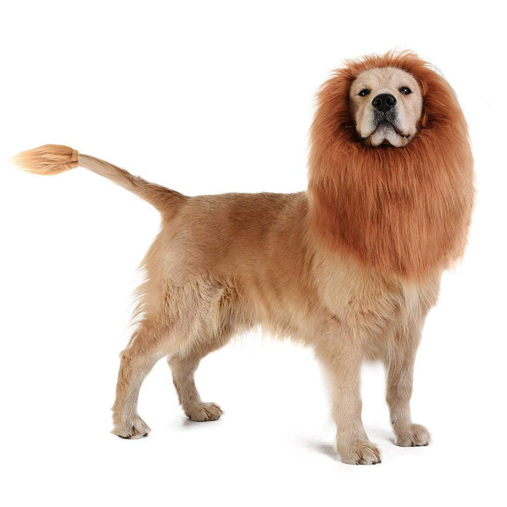 Realistic Dog Lion Mane - Perfect for Costumes & Accessories