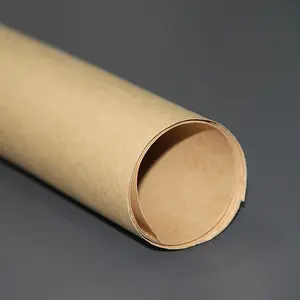 CNXJEI Insulating Kraft Paper For Transformer Insulating Ddp Paper For Sale