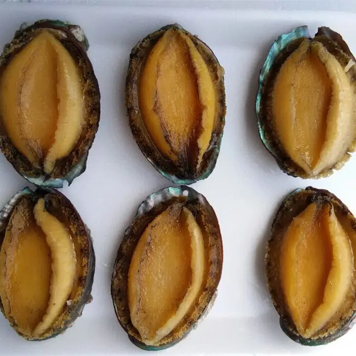 Groothandel Fabriek Prijs Verkoop Best Verkopende Verse Zeevruchten Ingeblikt Abalone