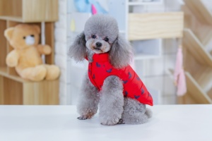 Nouveauté 2022 Vêtements pour <span class=keywords><strong>chien</strong></span> Manteau Hiver Mode tendance Automne Chaud Vêtements pour gros chiens Accessoires pour animaux de compagnie Teddy Dogie Vestes - Product Image 3